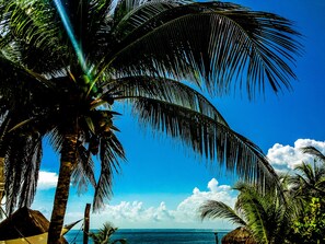 Private beach, white sand, beach cabanas, beach towels - Acamaya Reef Cabanas - Caravan Park (Puerto Morelos)