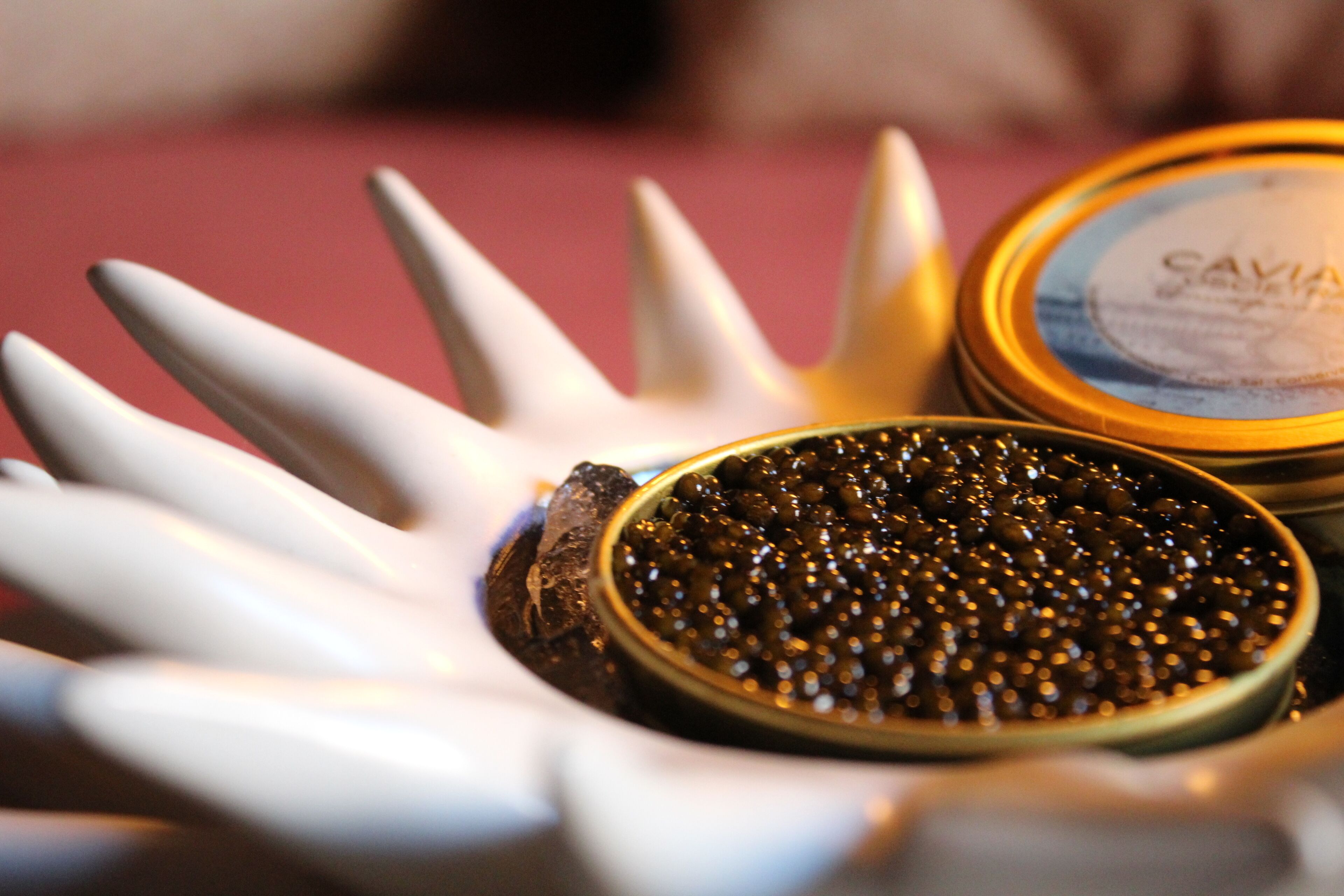 Foto - Hotel Medinaceli New reopening 2025