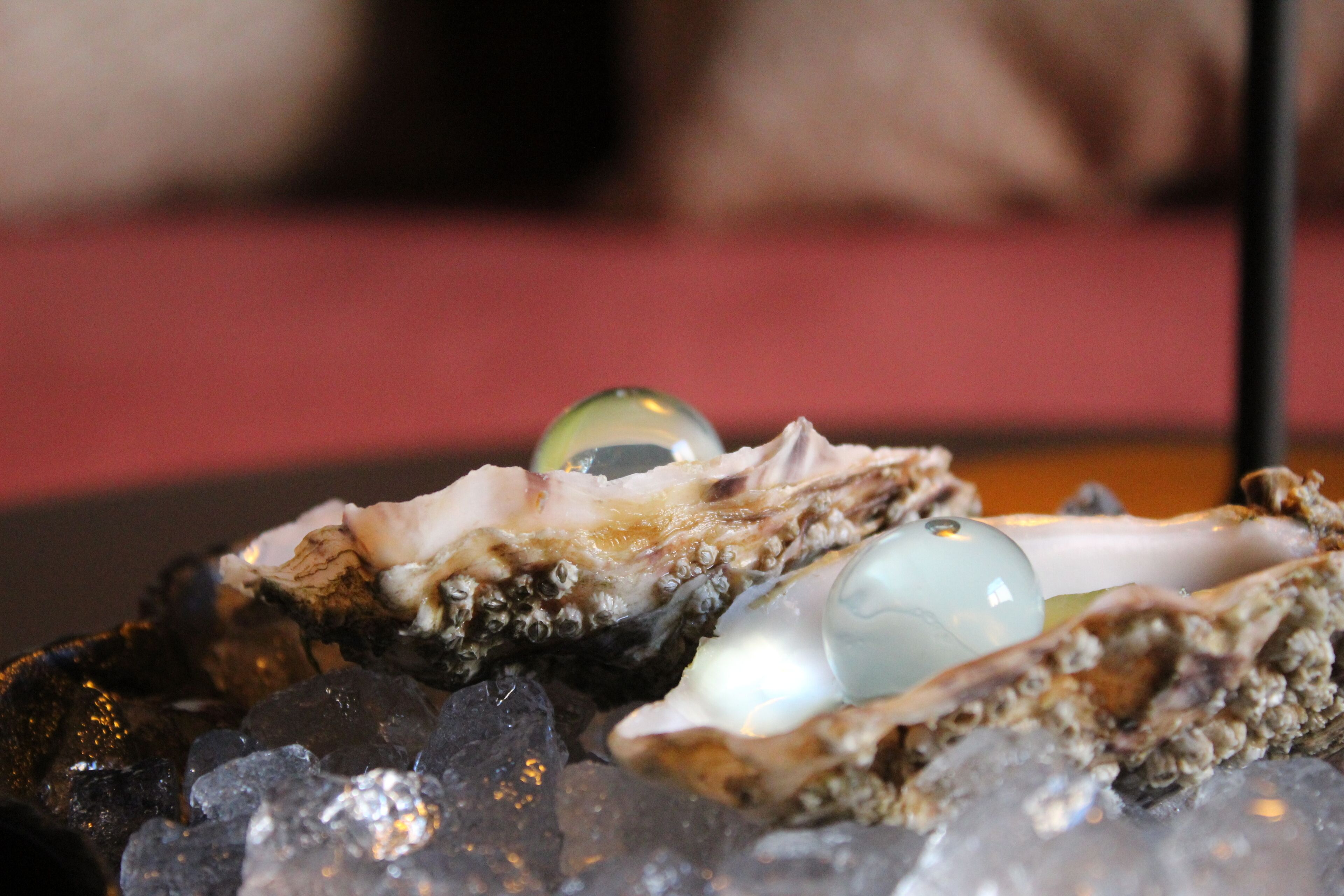 Foto - Hotel Medinaceli