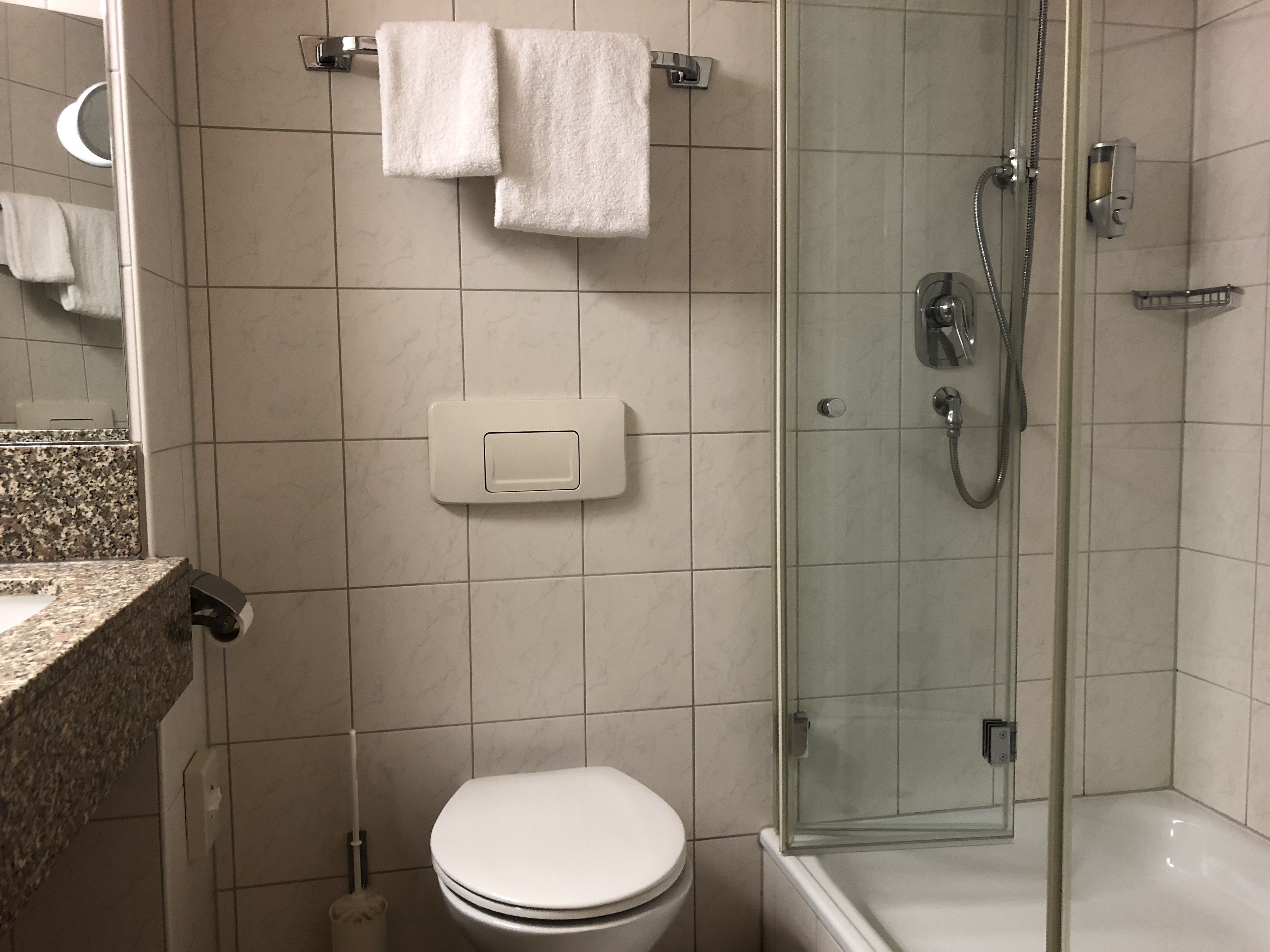 A bathroom with a toilet, a shower, and a sink.