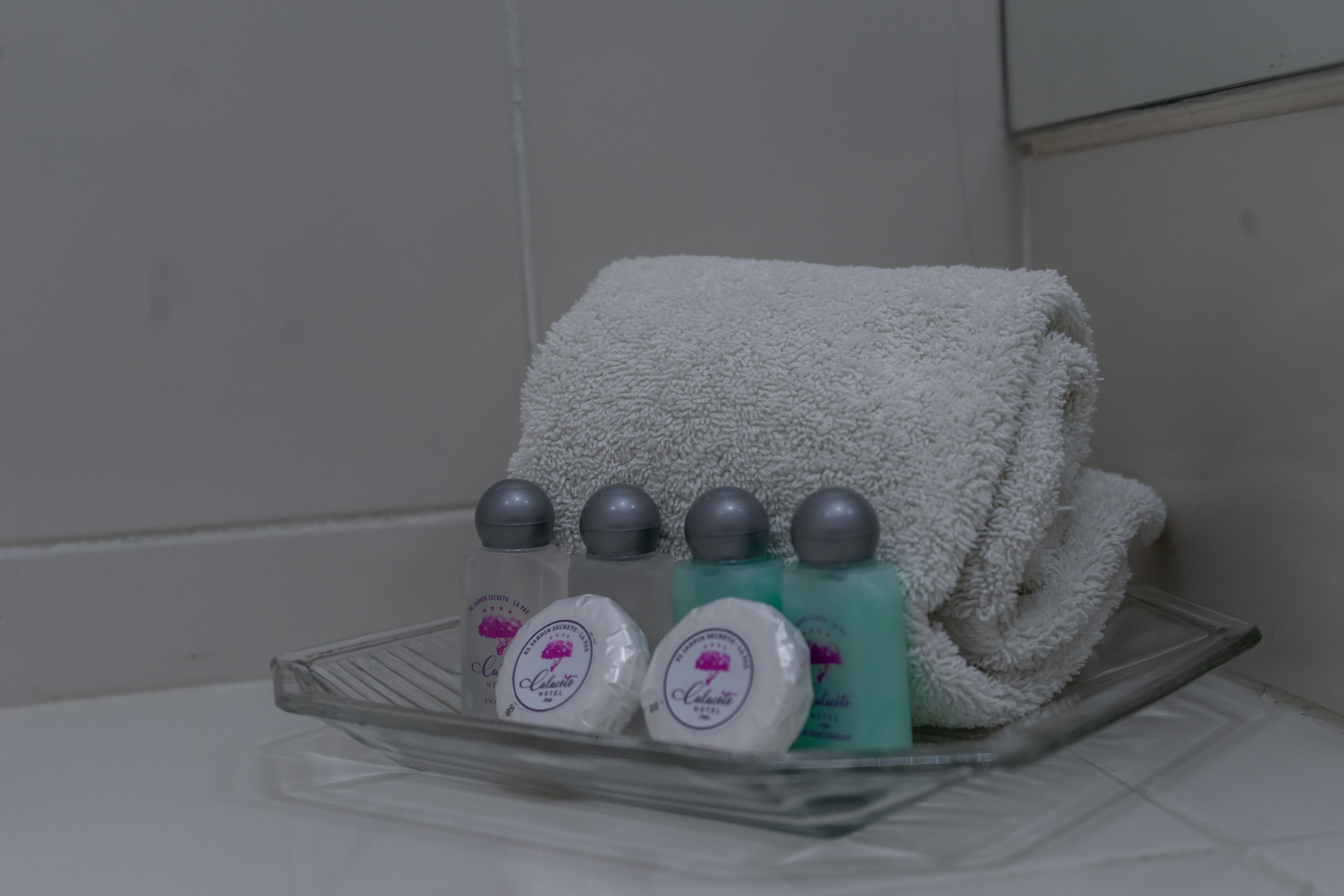 Photo - Hotel Calacoto