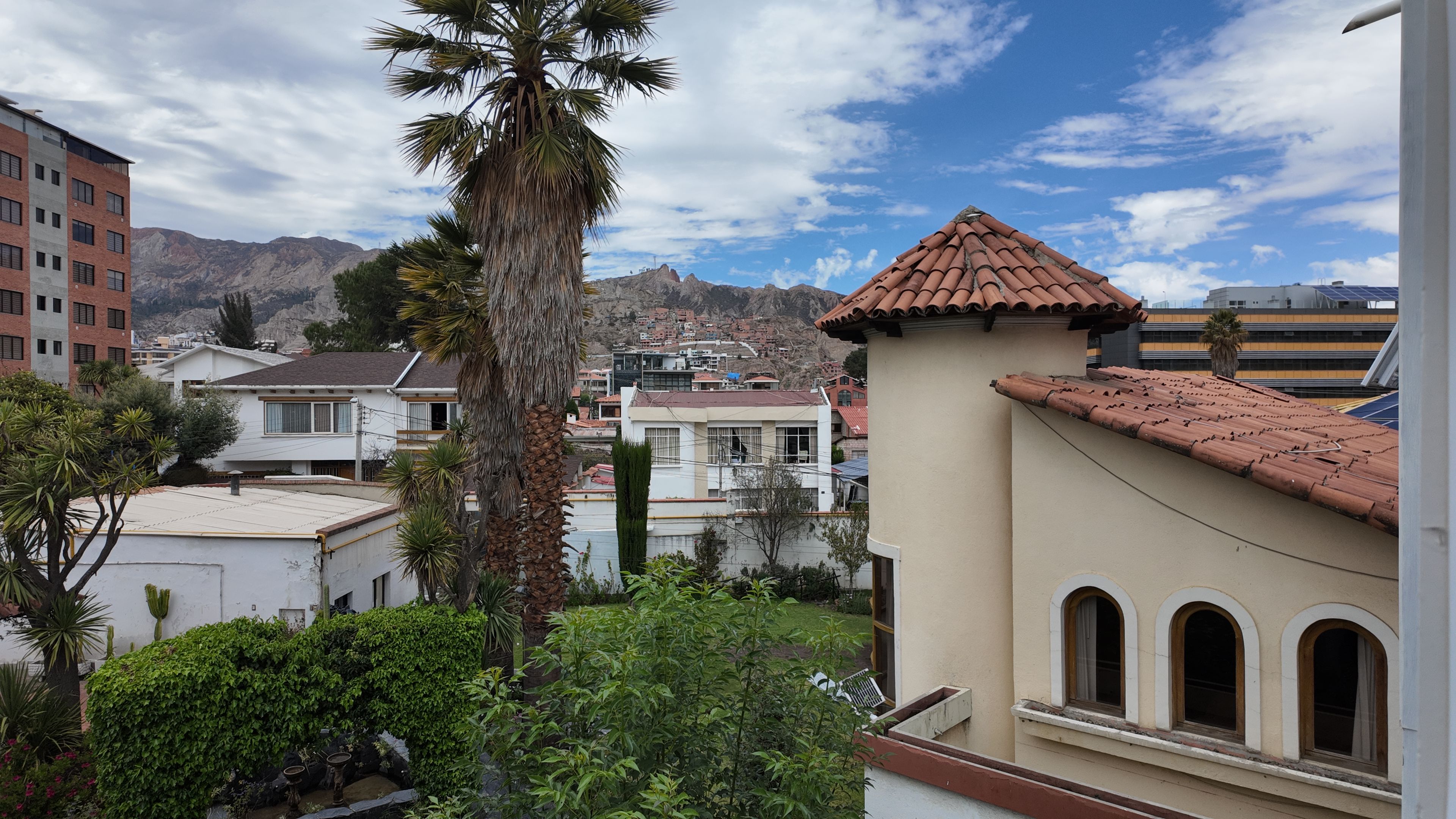 A residential area with a variety of buildings, including a house with a tiled roof and a tall palm tree.