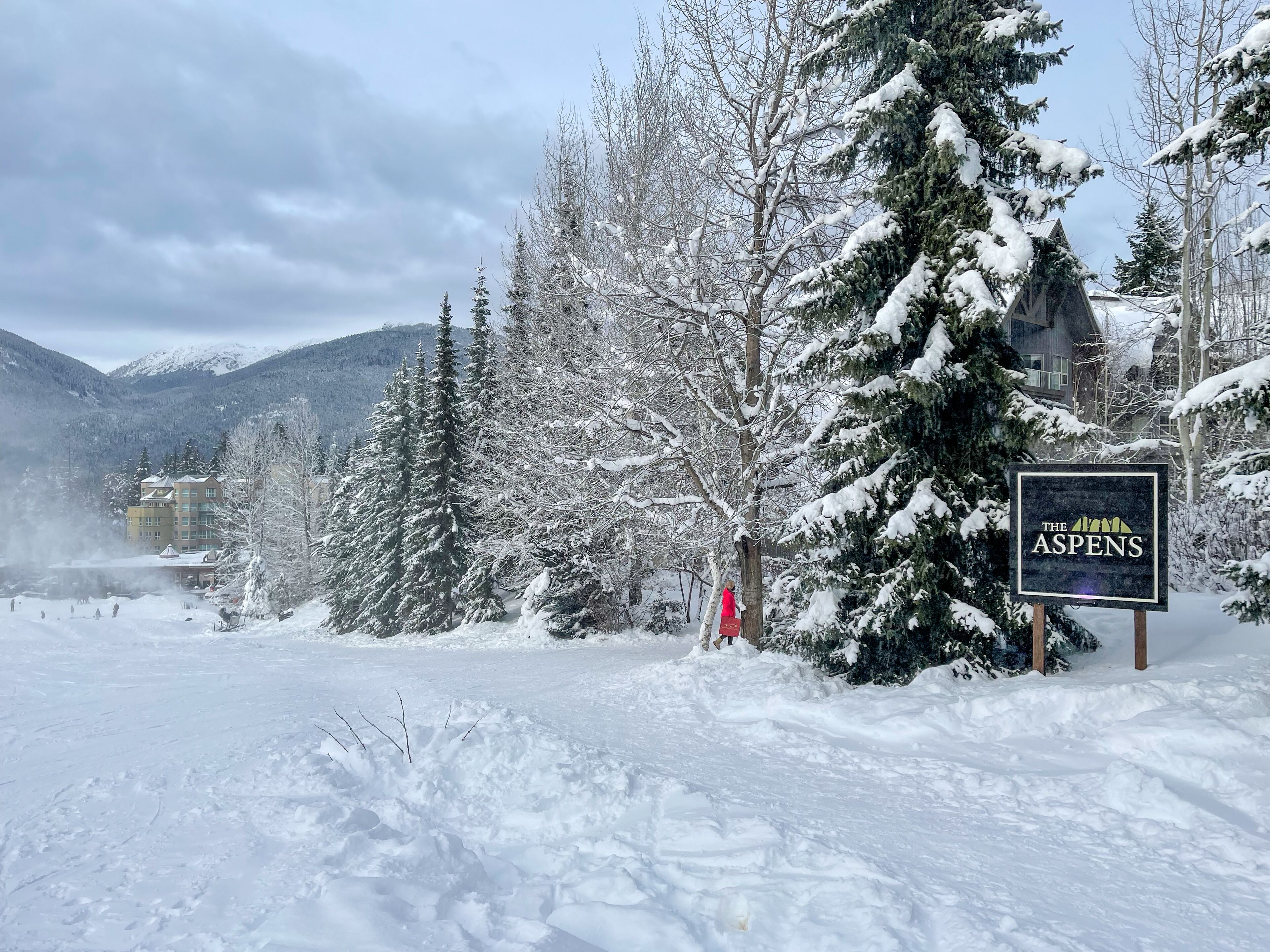 Een besneeerd landschap met een bordje voor hotel 'The Aspen'.