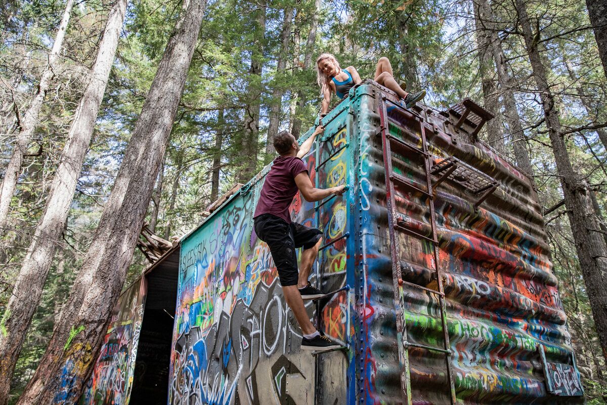 Una struttura ricoperta di graffiti in una foresta.
