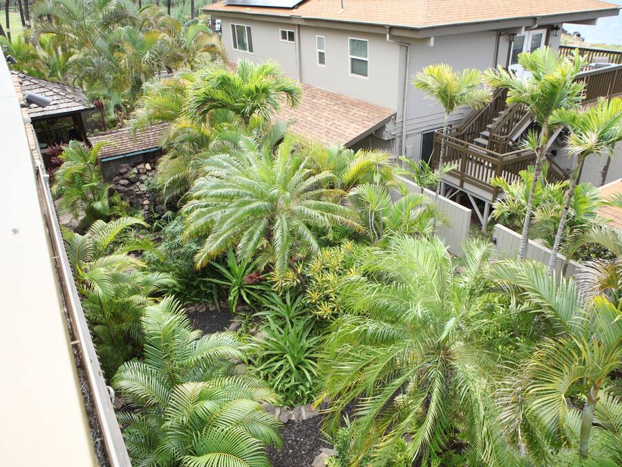 Zona residencial com várias casas, um pequeno jardim com palmeiras e uma escadaria que leva a um terraço.