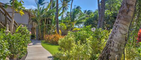 A pathway leading to a building with a balcony, surrounded by tropical vegetation and palm trees.