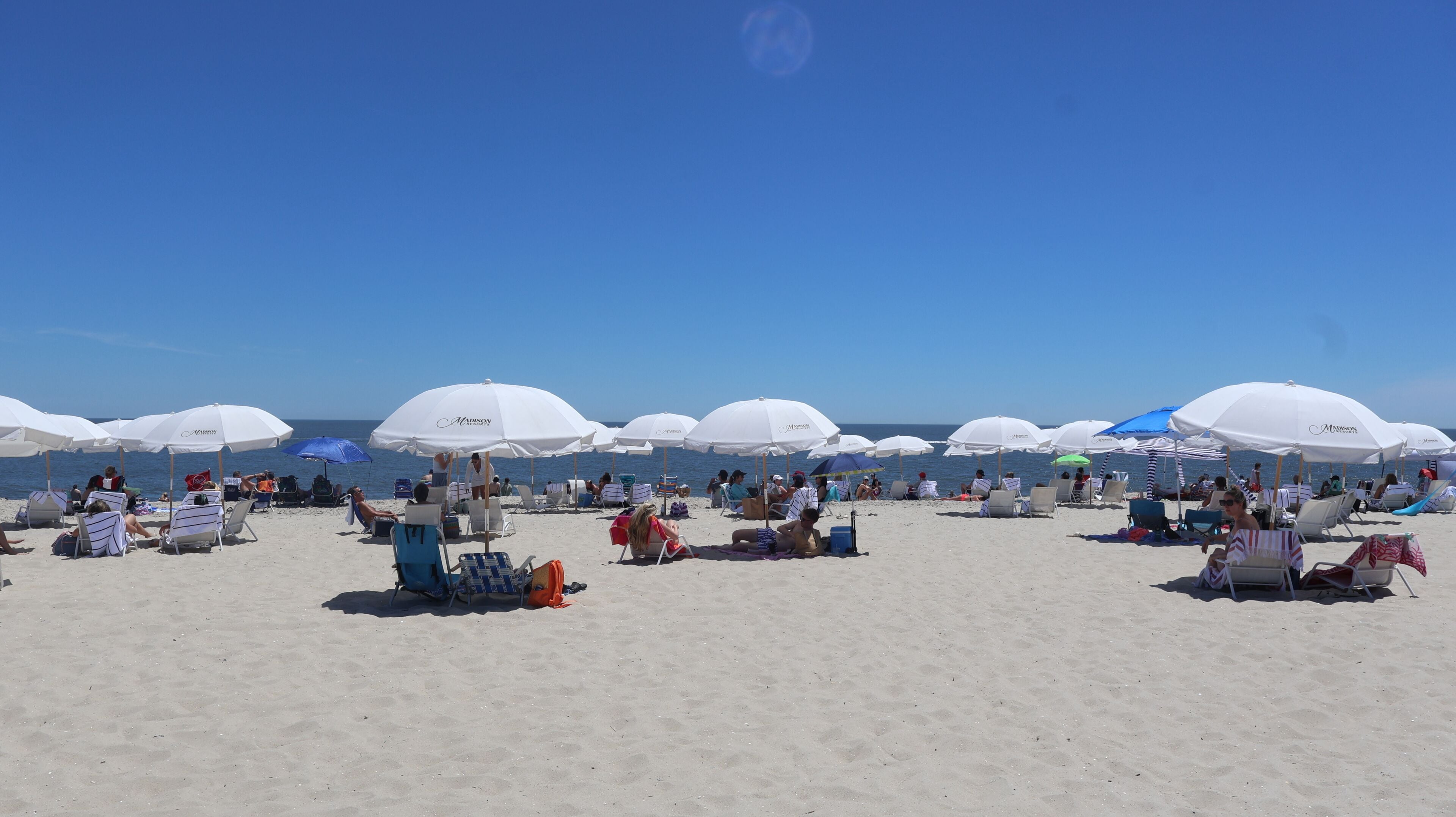 Una playa con hileras de sombrillas blancas y sillas de playa.