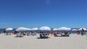 A beach with rows of white umbrellas and beach chairs. - Montreal Beach Resort (Cape May)