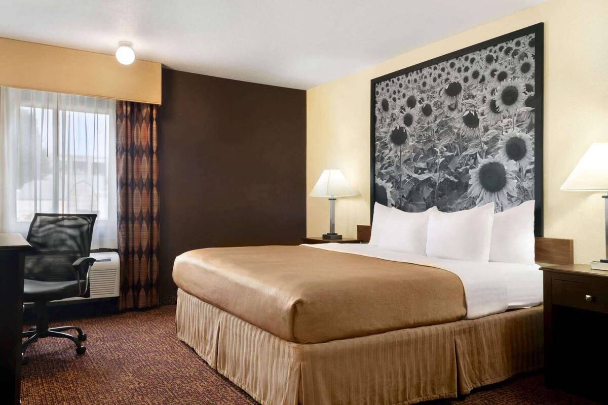 Ropa de cama de alta calidad, escritorio y cortinas blackout