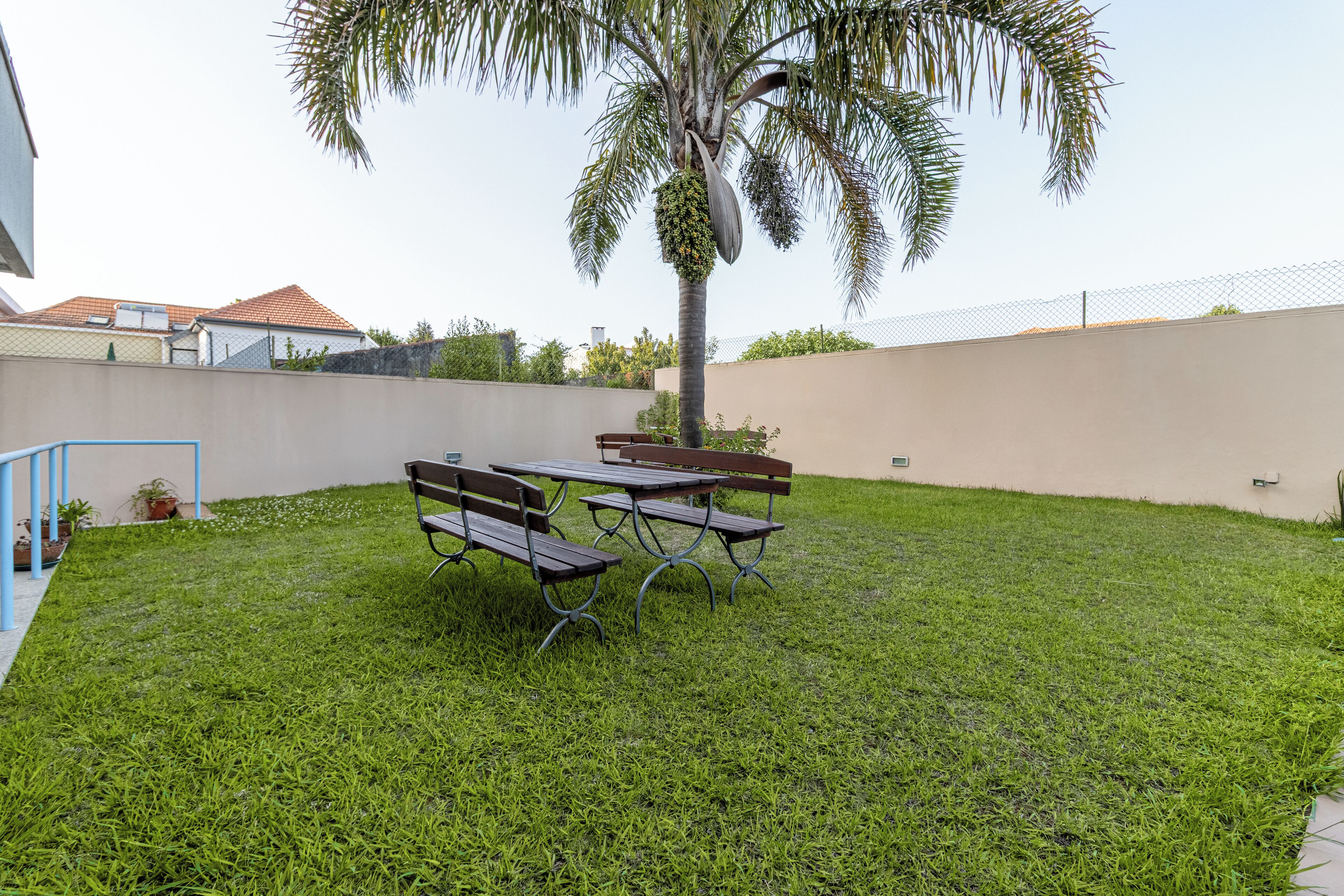 A grassy outdoor area with a palm tree, picnic tables, and benches.
