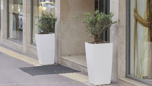 The exterior of a hotel named "Golden City" with large windows, a revolving door, and two potted plants on the sidewalk. - Golden City Hotel (Athens)