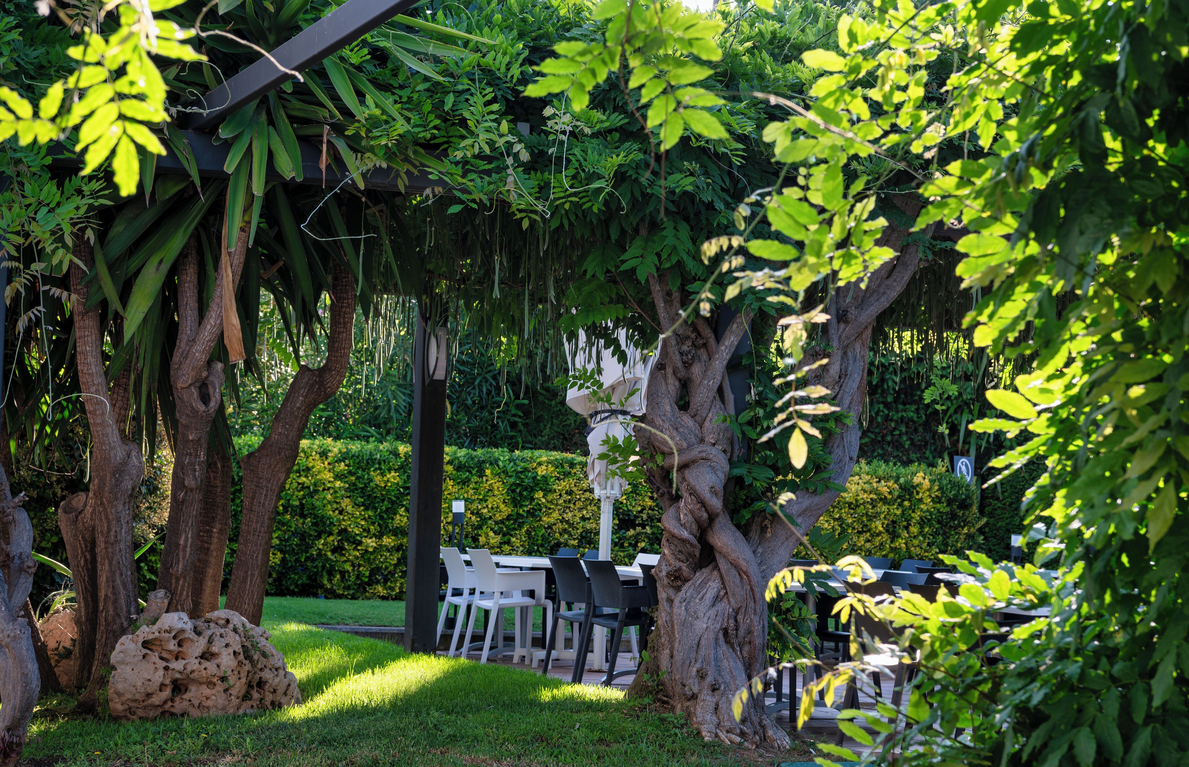 Un jardín al aire libre con un pérgola, asientos y una mesa de comedor.