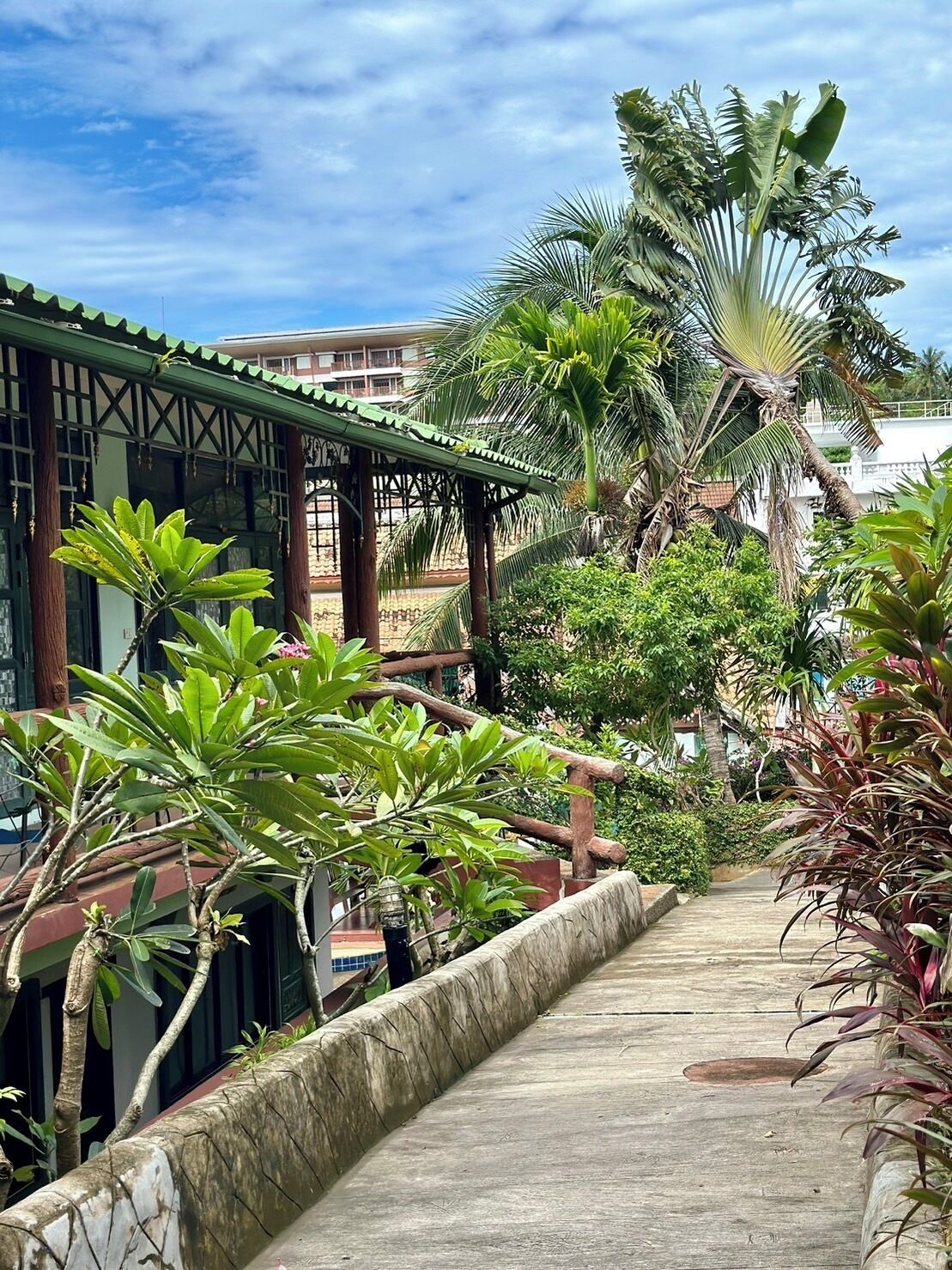 Un camino conduce a un edificio con techo verde, rodeado de exuberante vegetación tropical y palmeras.
