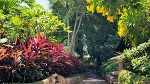 Ảnh chưa phân loại, 4 trong số 93 ảnh, nút