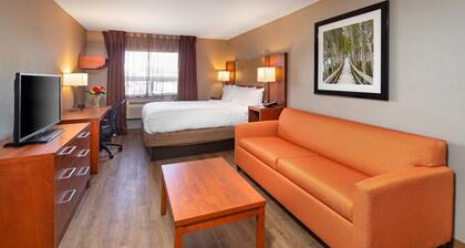 Canadas Best Value Inn Richmond Hill Toronto N