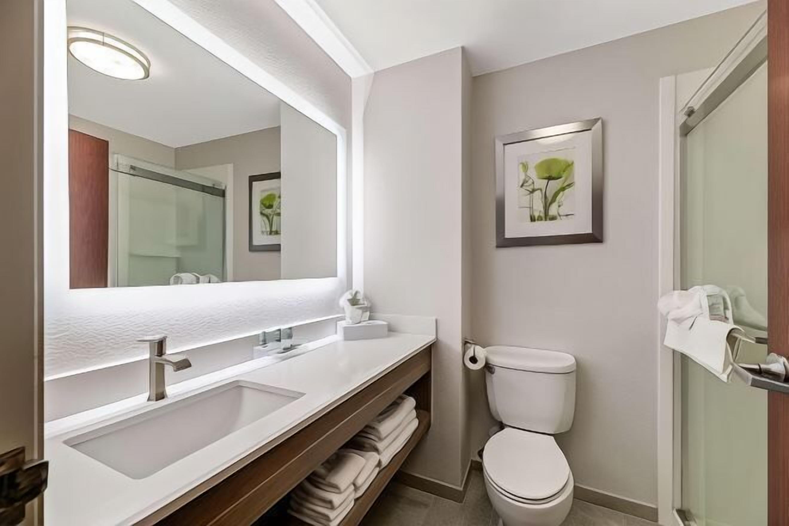 Bathroom | Combined shower/tub, free toiletries, hair dryer, towels