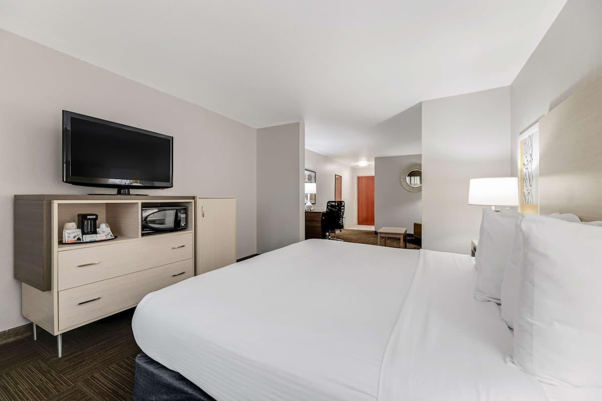 Suite, 1 kingsize bed, niet-roken (Mini-Suite) | Een bureau, een laptopwerkplek, verduisterende gordijnen