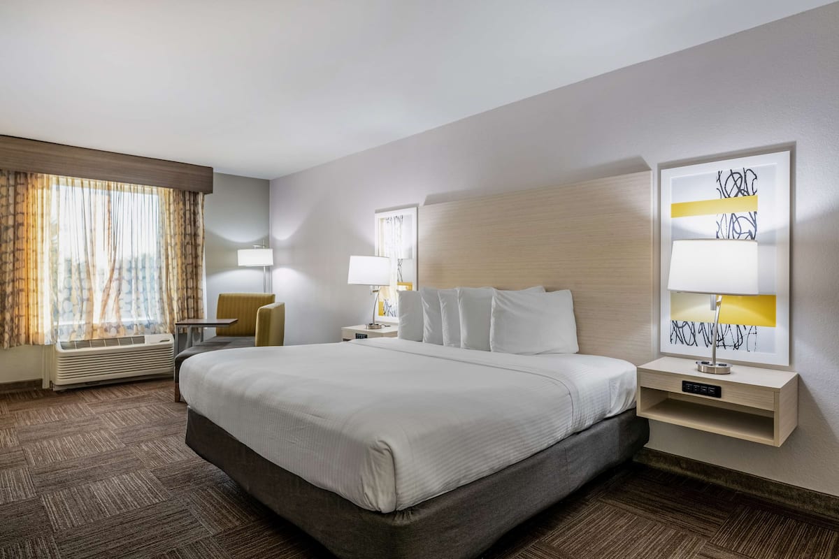 Standard Room, 1 King Bed, Non Smoking, Microwave | Desk, laptop workspace, blackout drapes, iron/ironing board