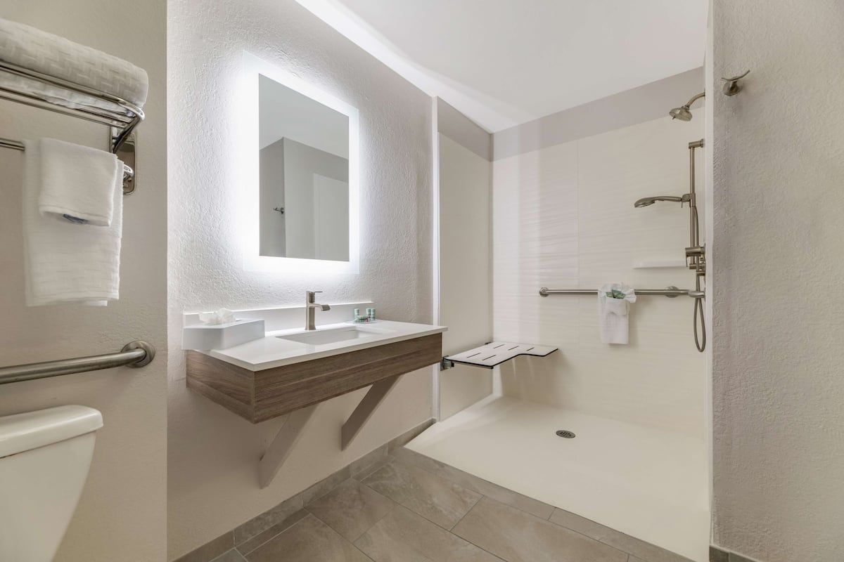 standard room, 1 king bed, non smoking (accessible, roll in shower) | bathroom | combined shower/bathtub, free toiletries, hair dryer, towels