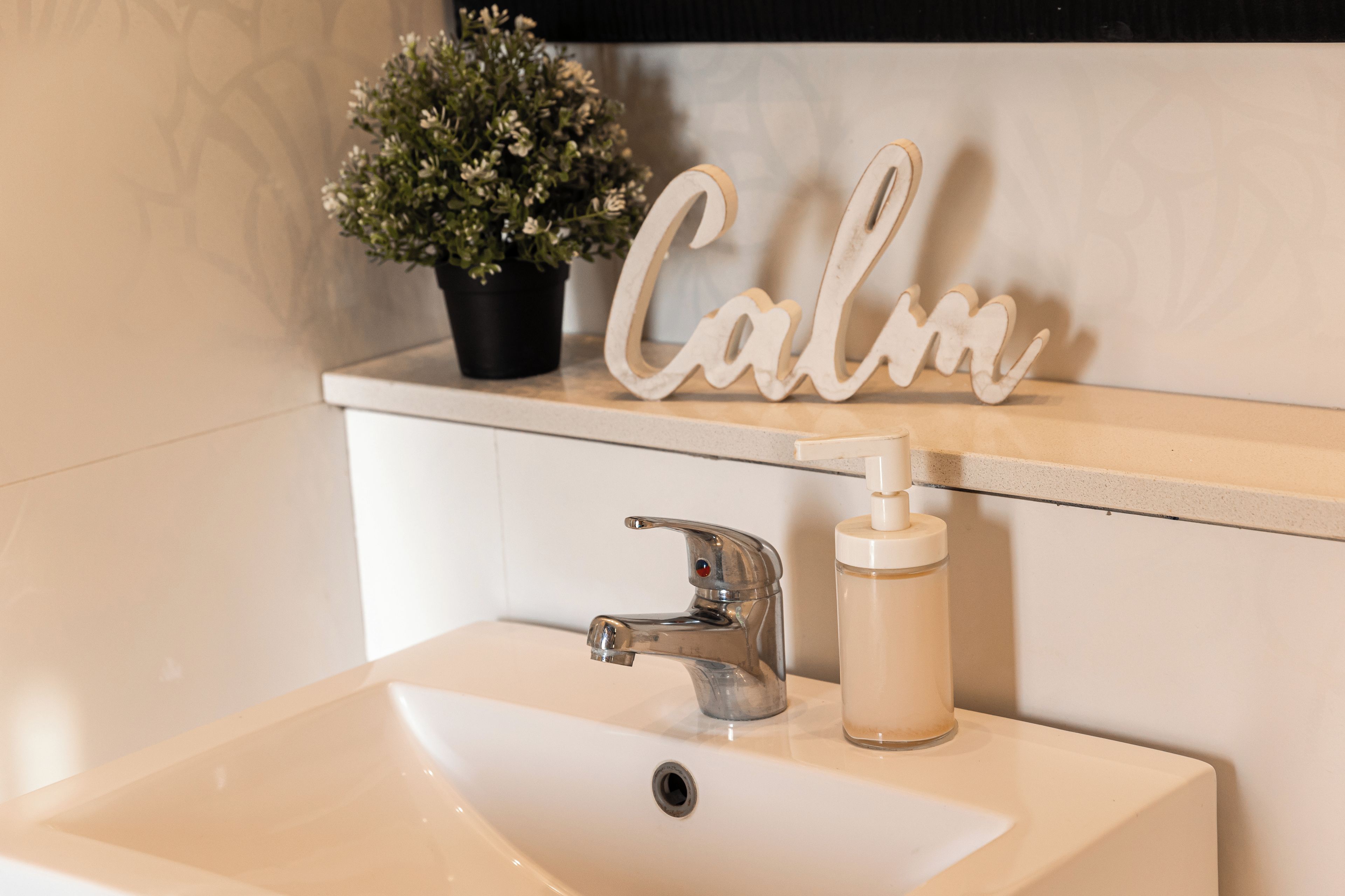 Un lavamanos con grifo y dispensador de jabón, una planta en maceta y un letrero en la pared que dice 'Calm'.