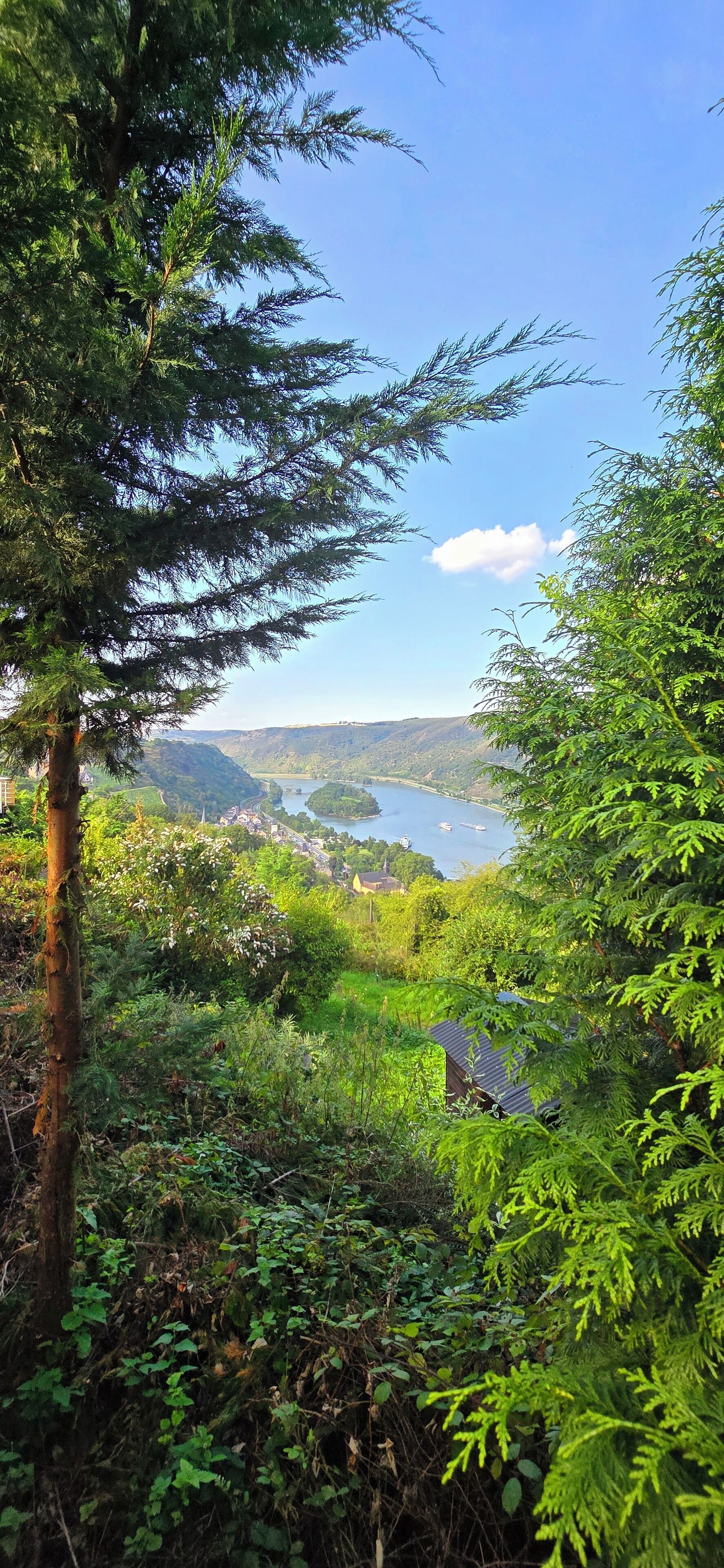 A lush green landscape with dense foliage and a view of a lake with boats.