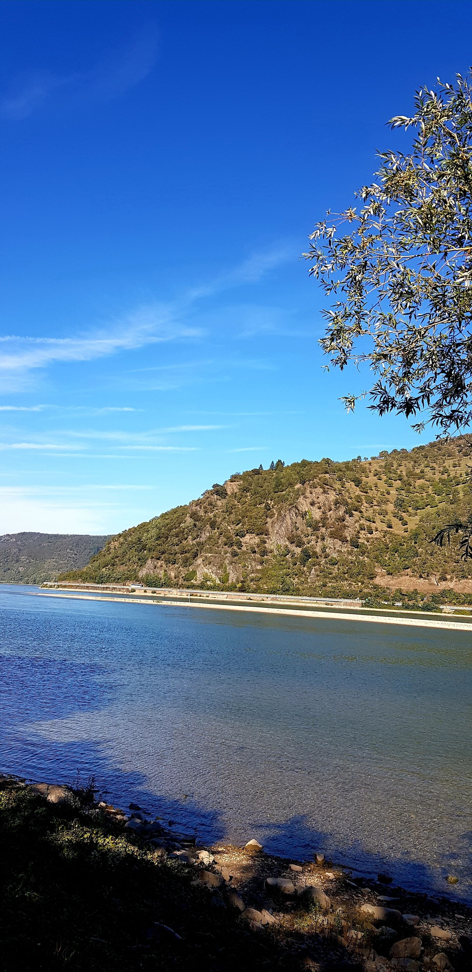 land view from property