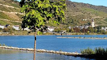 Un árbol junto a un lago tranquilo, con una iglesia y casas al fondo.