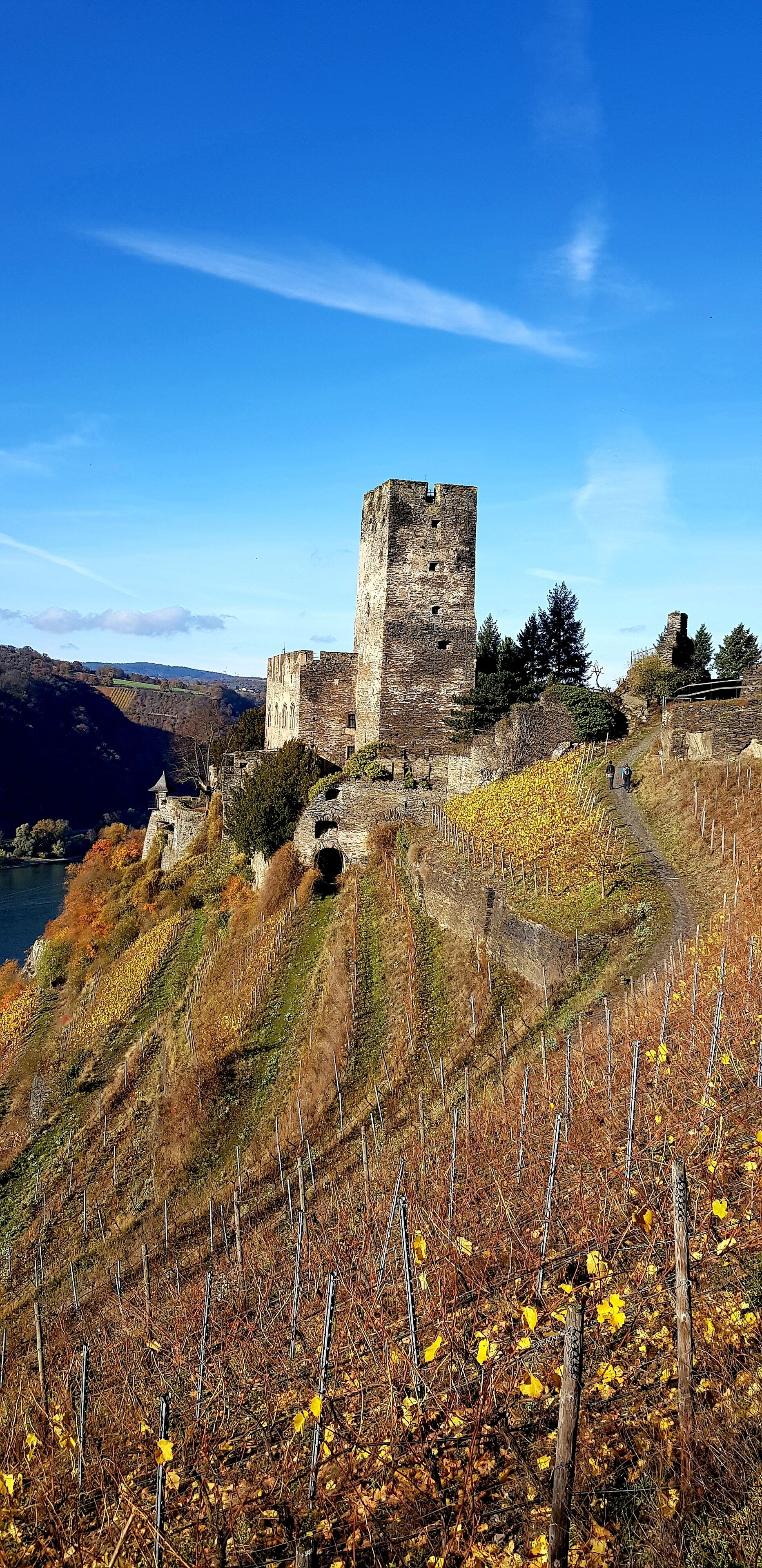 land view from property