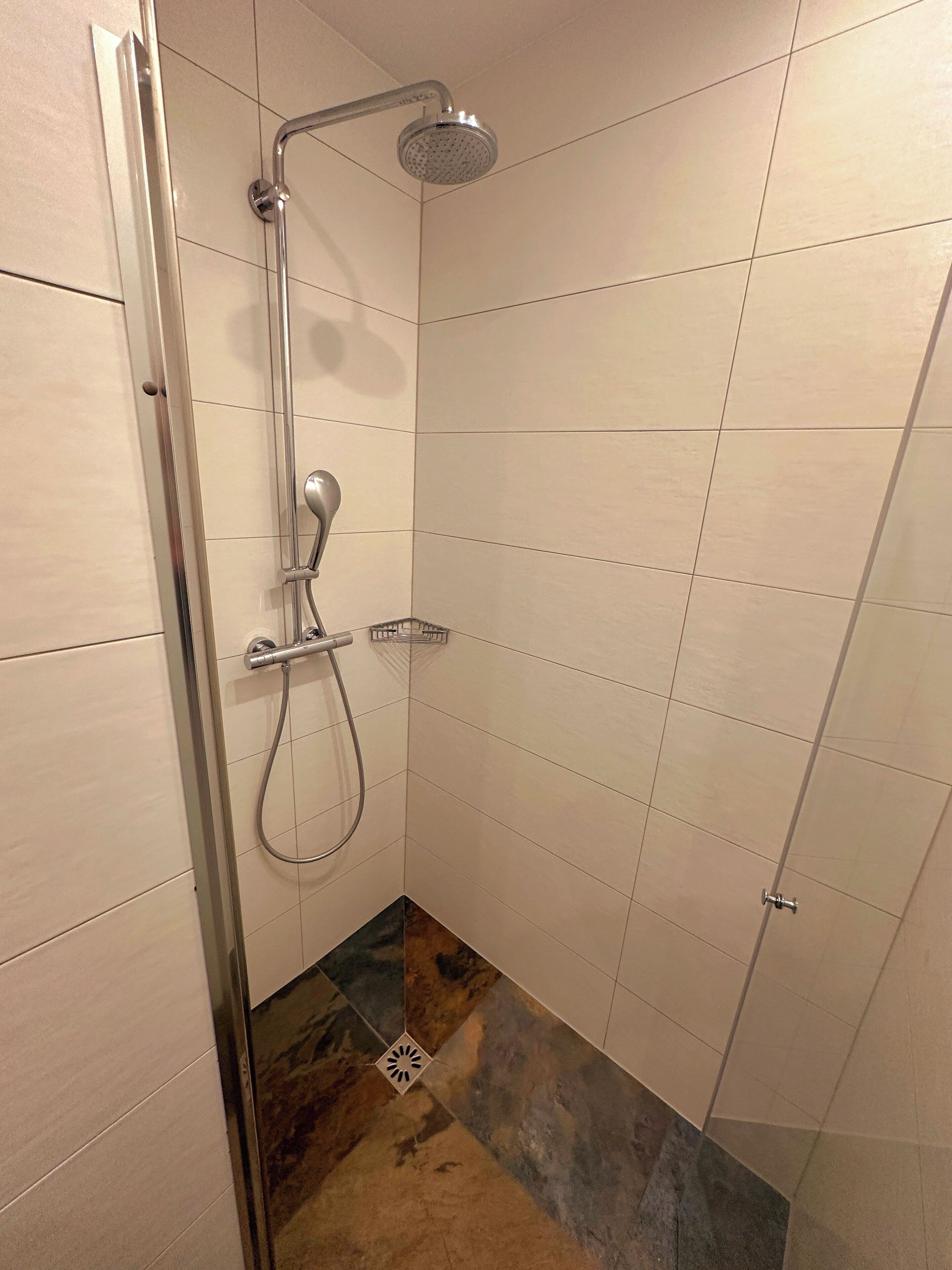 Una ducha con cabezal de ducha manual y otro fijo en la pared, puerta de cristal y diseño de azulejos en esquina.