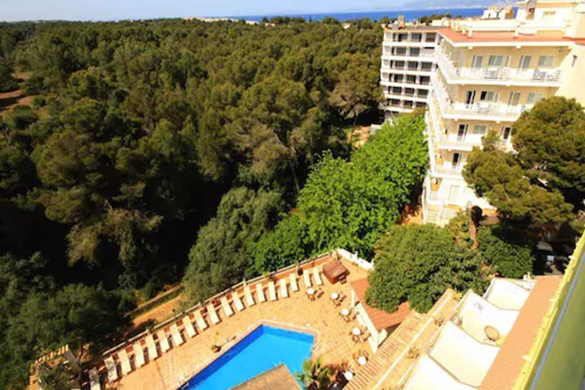 Chambre Double Standard, balcon (Forest) | 1 chambre, rideaux occultants, Wi-Fi gratuit