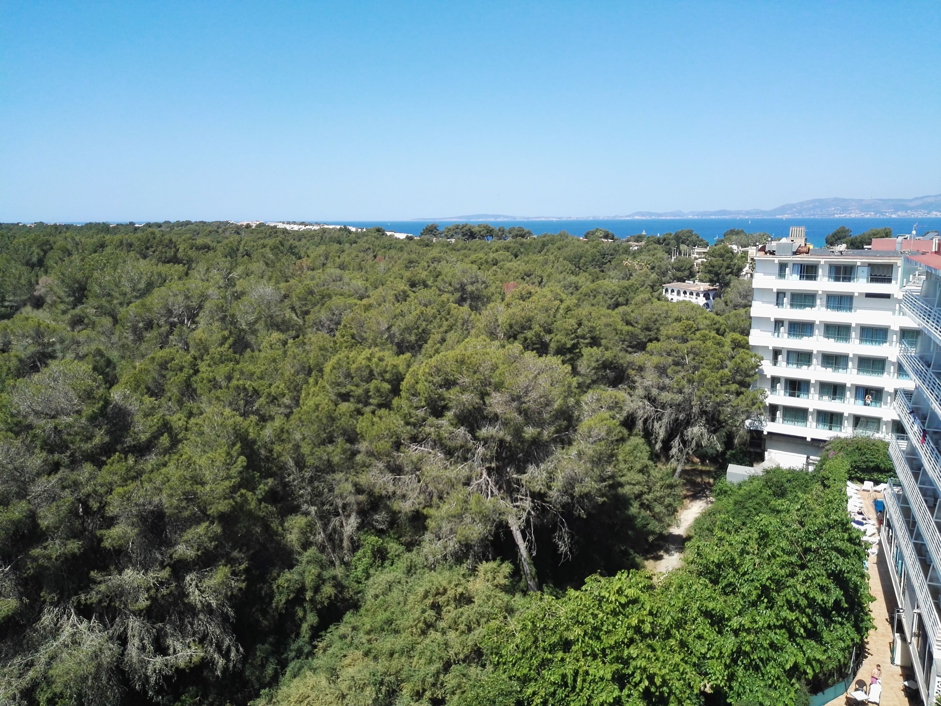 Photo - Hotel Manaus