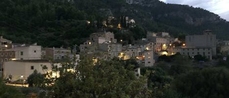 A hillside town with buildings clustered together, surrounded by trees and mountains.
