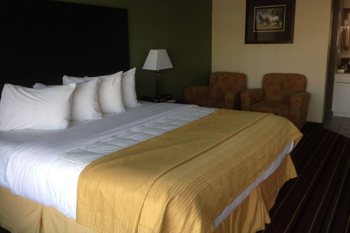 A hotel room with a large bed, a nightstand with a lamp, two floral armchairs, and a framed picture on the wall.