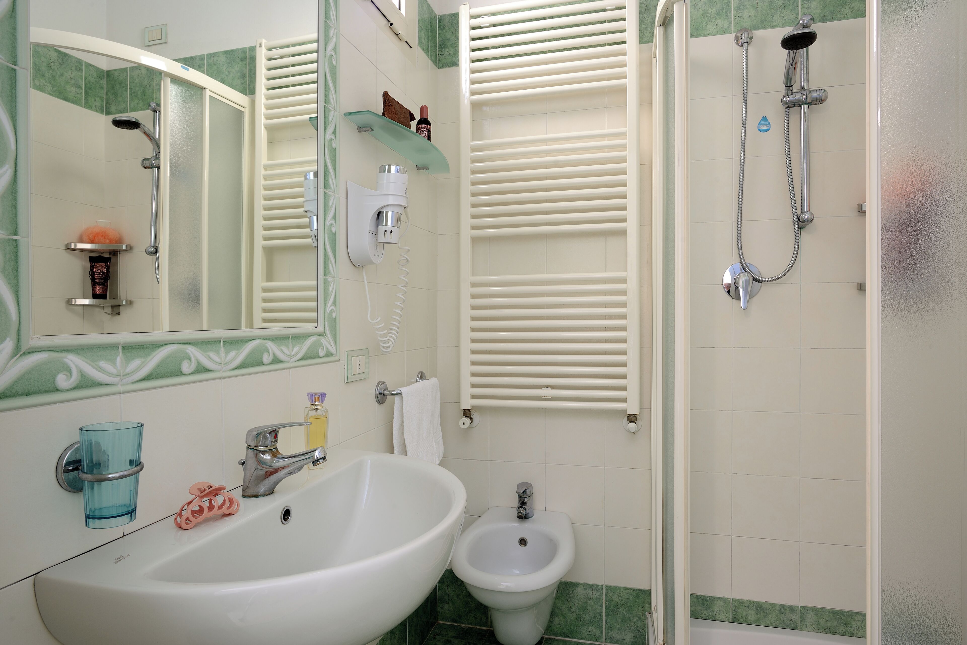 shower, free toiletries, hair dryer, bidet
