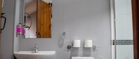 A bathroom with a white sink, a toilet, a mirror, and a shower area.