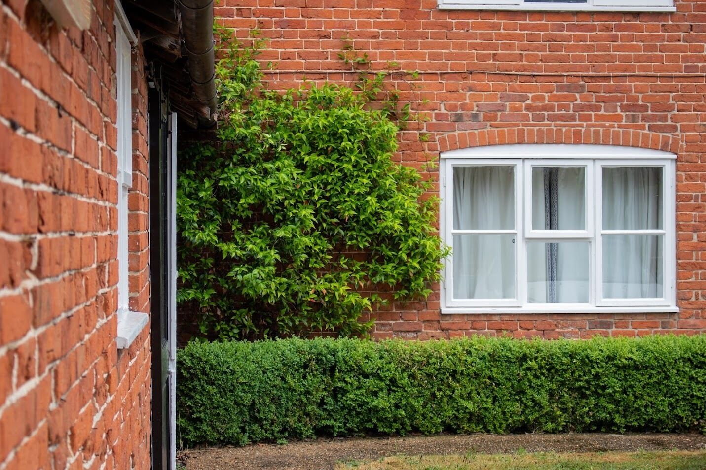 standard twin room, ensuite | exterior