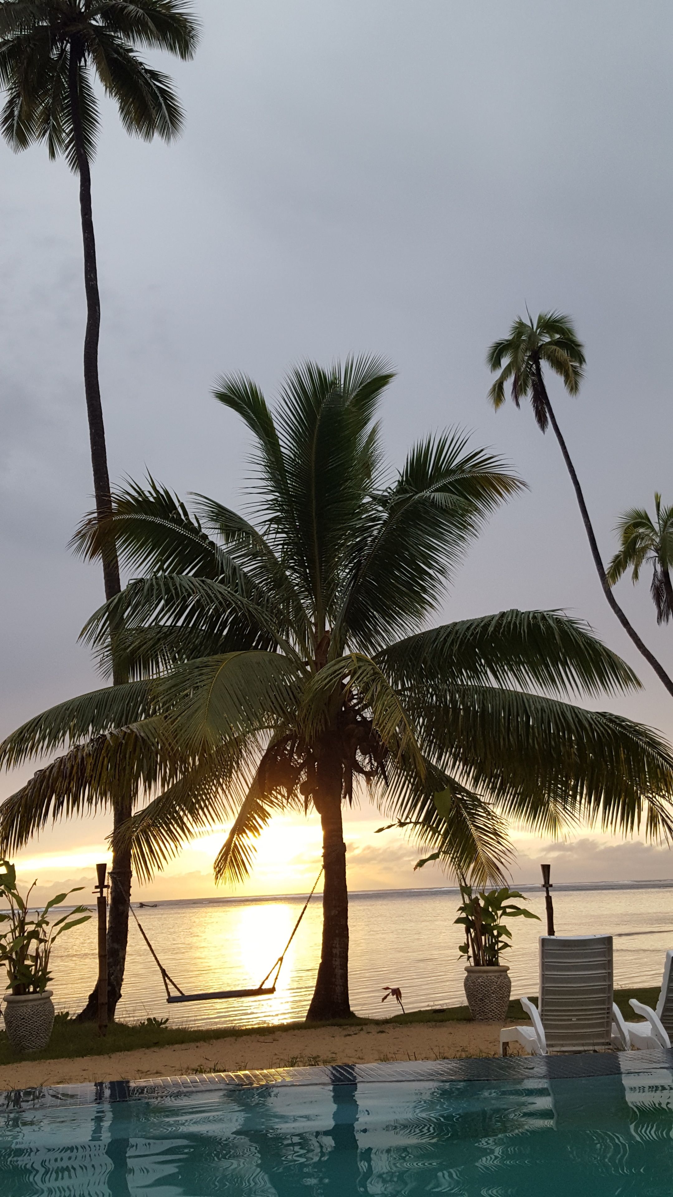 Zona de piscina con palmeras y vista al atardecer sobre el agua.