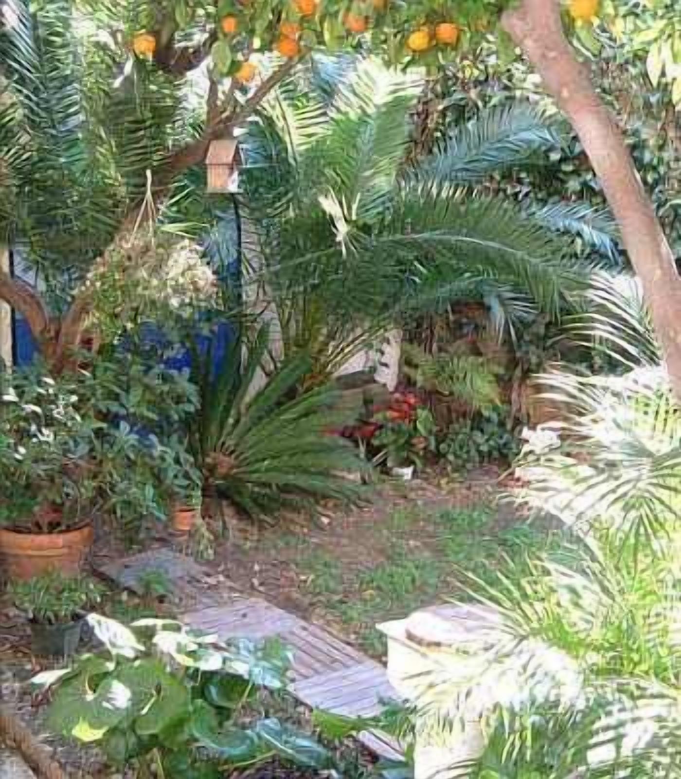 Foto - Nice Garden Hotel