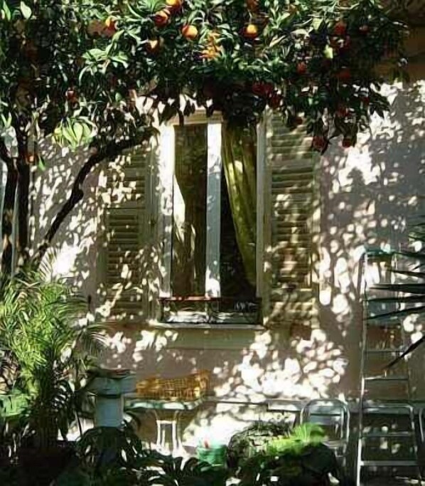 Un edificio con ventana, balcón y un árbol lleno de frutos.