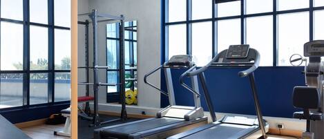 A gym with treadmills, a weight bench, and a squat rack.