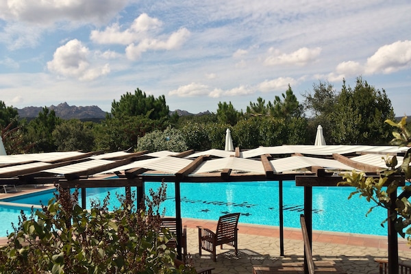 Seasonal outdoor pool, open 9:00 AM to 7:00 PM, pool umbrellas