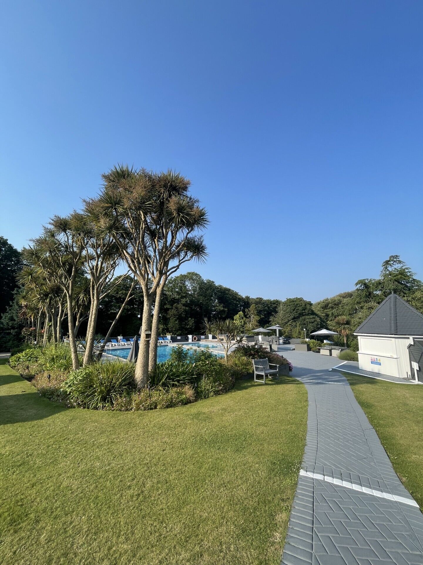 A pool area with a clear sky, surrounded by trees and a paved walkway.
