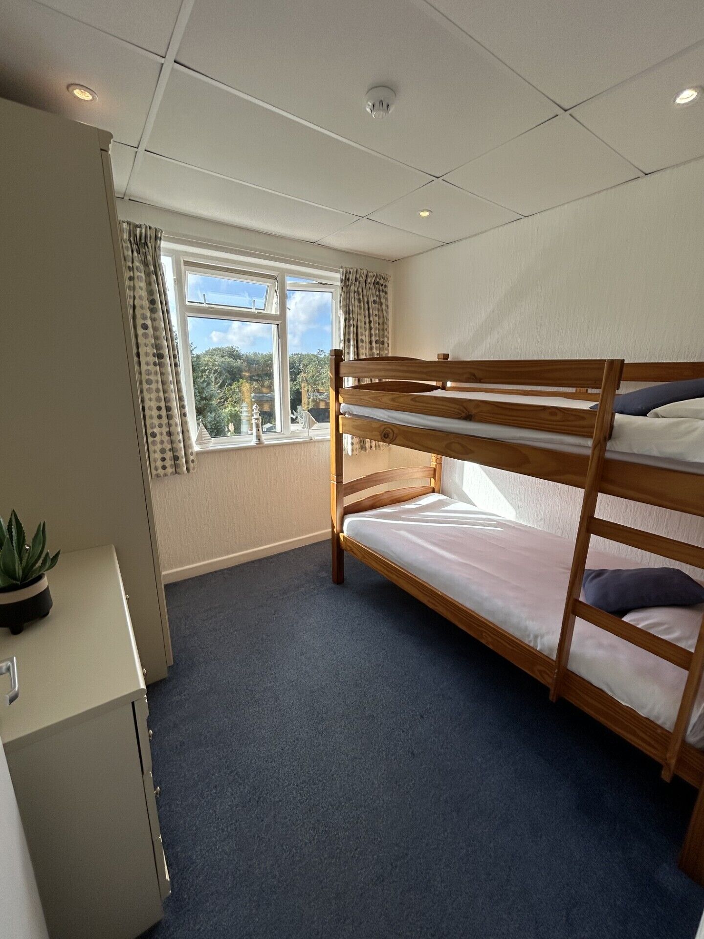 A bunk bed room with a window, a desk, and a plant.