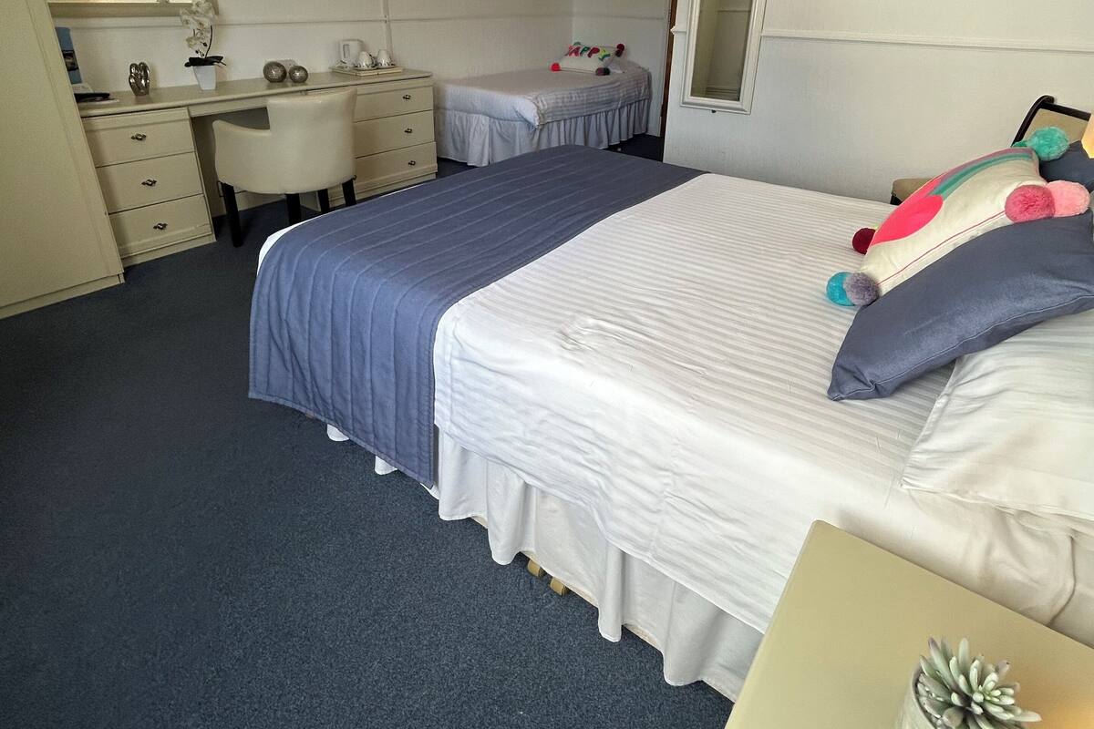 A hotel room with two beds, a desk, a chair, a TV, and a small plant.
