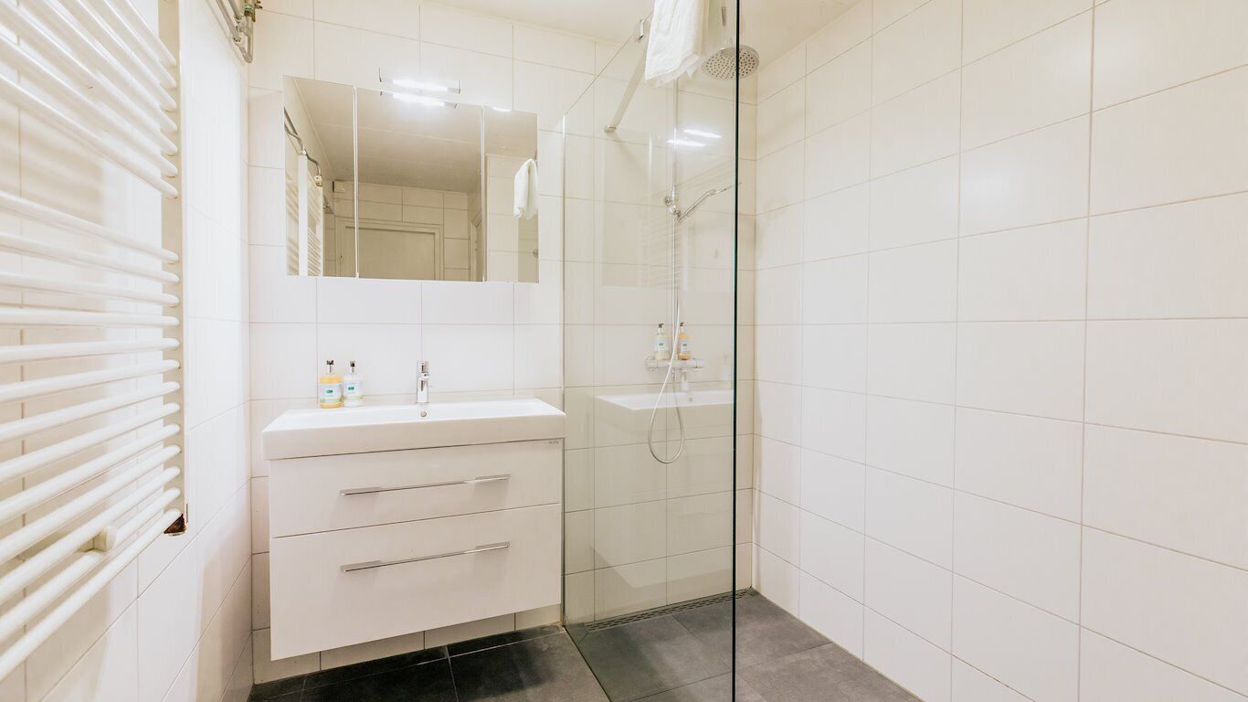 Ein modernes Badezimmer mit einer Duschkabine aus Glas, einem weißen Waschtisch mit Spiegel und einem Handtuchhalter.