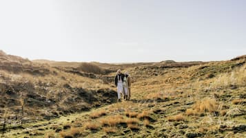 Um casal caminhando em uma colina gramada sob um céu claro.