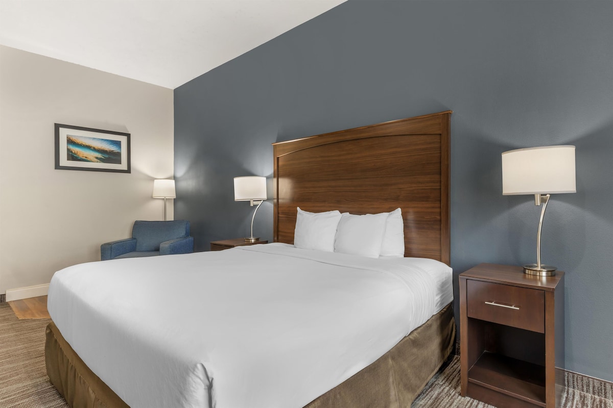 Standard Room, 1 King Bed, Accessible, Non Smoking