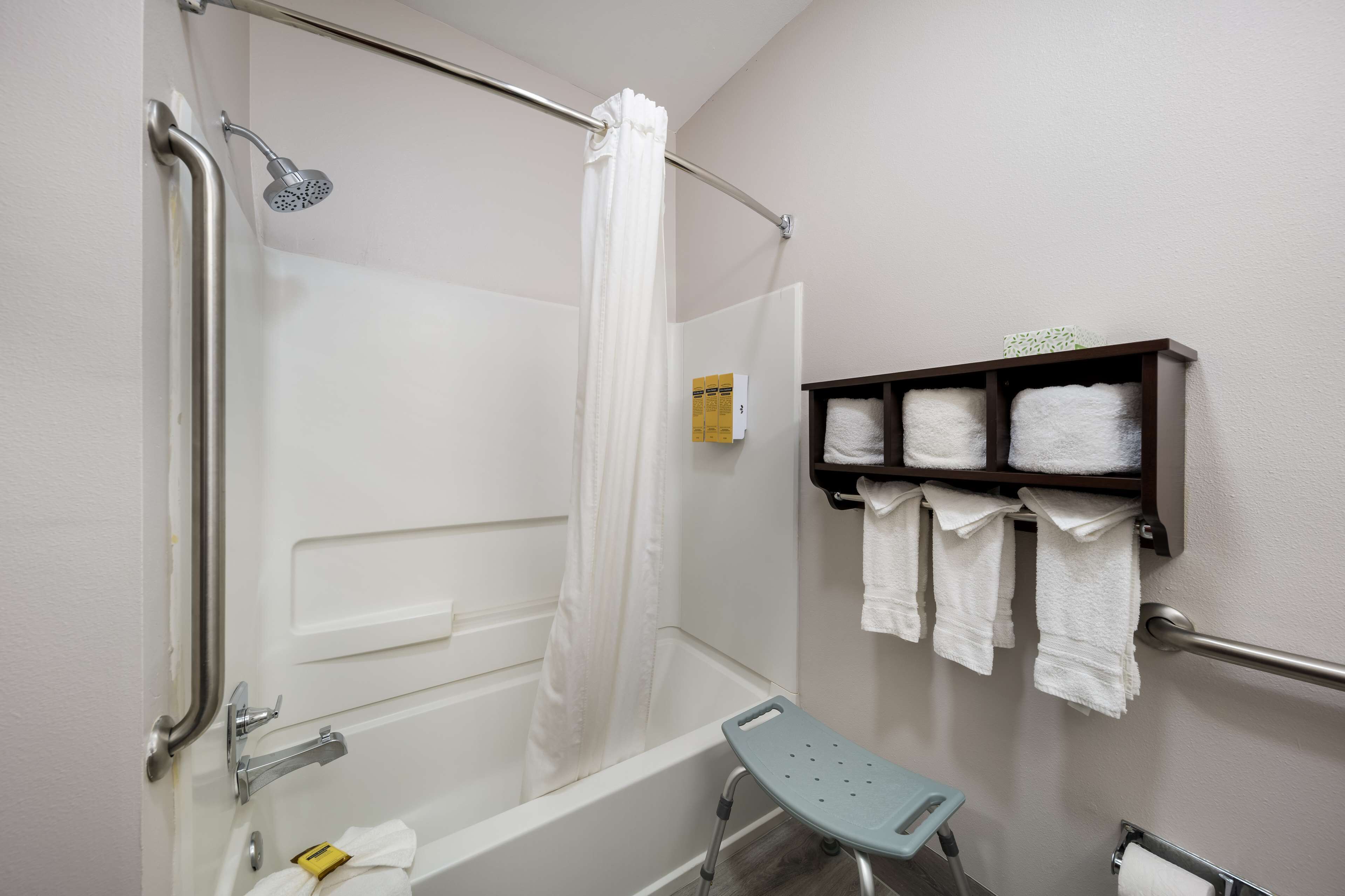 suite, 1 king bed, accessible, refrigerator & microwave (with sofabed) | bathroom | free toiletries, hair dryer, towels