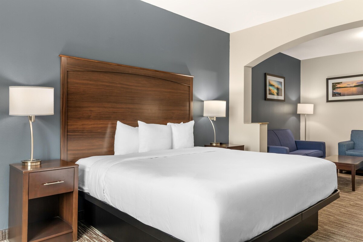 Suite, 1 King Bed, Accessible, Refrigerator & Microwave (with Sofabed)
