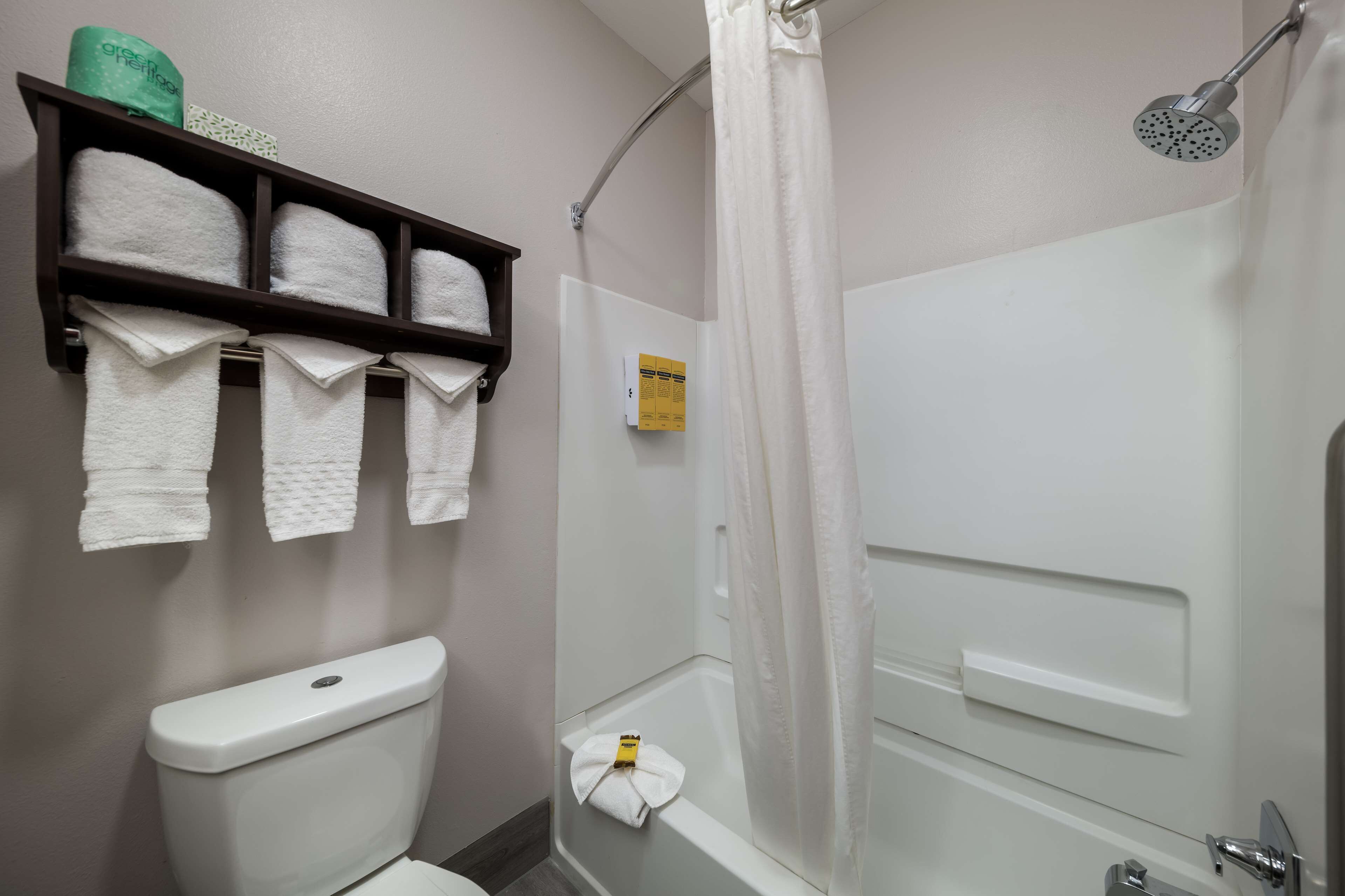 suite, 1 king bed, non smoking, refrigerator & microwave (with sofabed) | bathroom | free toiletries, hair dryer, towels